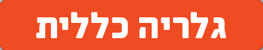 גלריה כללית